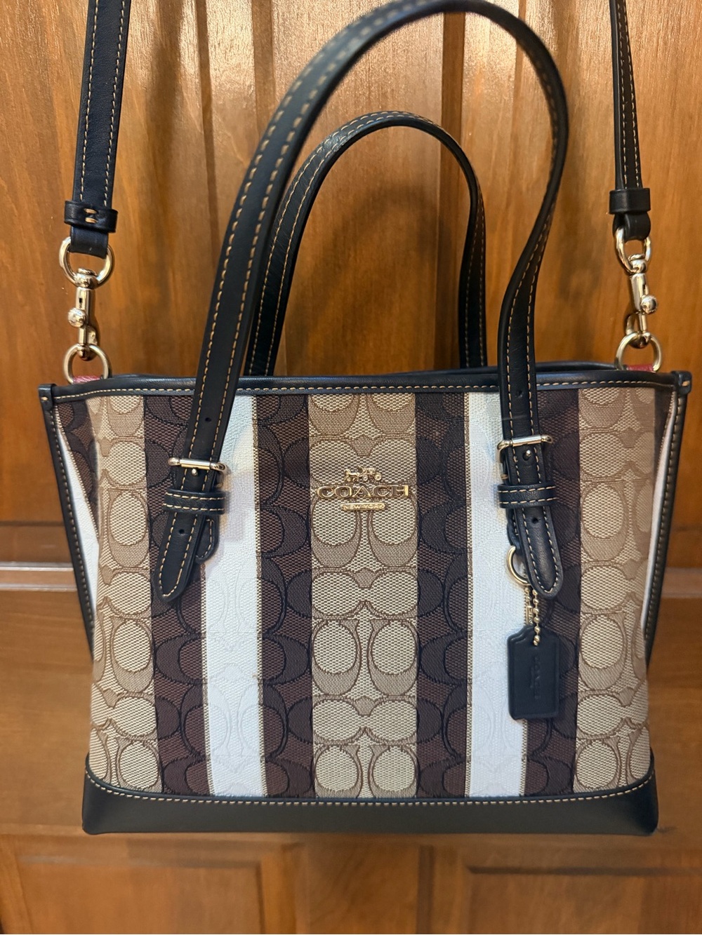 Coach Mollie Crossbody Striped Signature Tote in Brown, Beige and White